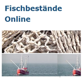 Fischbestände Online